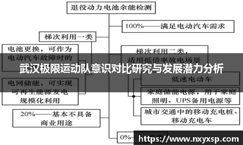 武汉极限运动队意识对比研究与发展潜力分析